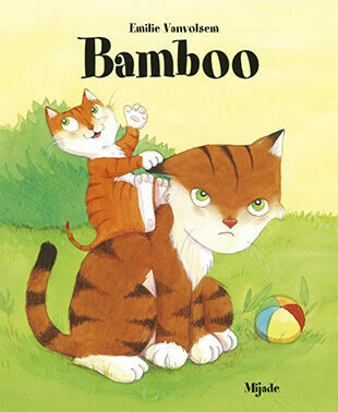 Bamboo