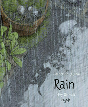 Rain